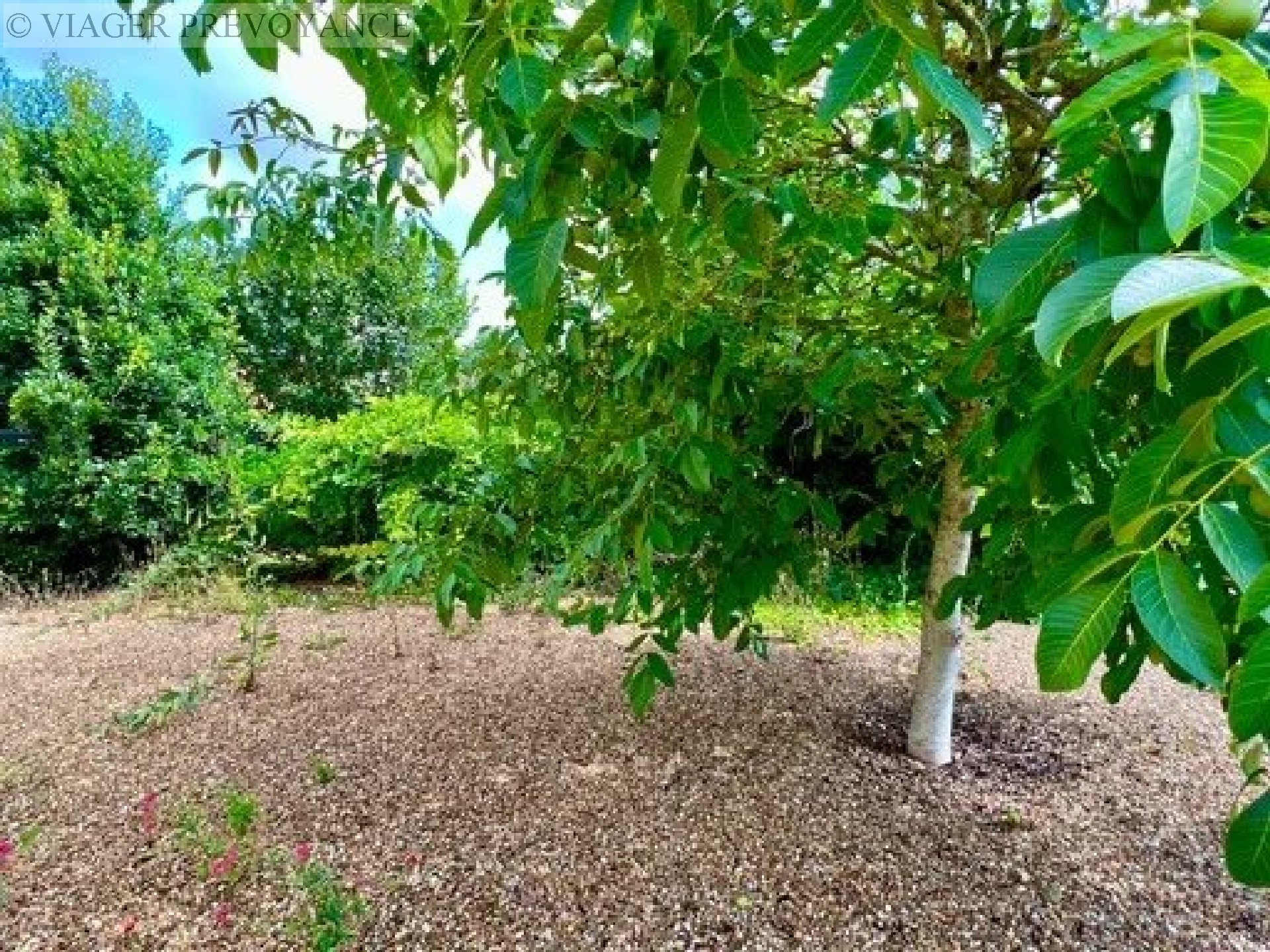 Maison  villa à vendre, ALENCON, 111 m², 4 pièces